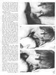 3 THE HARD WAY  Gays Photos
