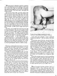 ECCE HOMO Vol 2 Nr 2 1976  Gays Photos