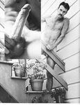 3'S COMPANY, HOT NUMBERS IN HEAT  Gays Photos
