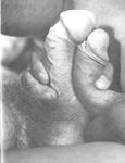 ENCOUNTER Nr 11 1980  Gays Photos