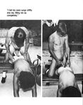 ENCOUNTER Nr 12 1980  Gays Photos