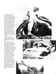 ENCOUNTER Vol 2 Nr 7 1981  Gays Photos