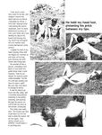 ENCOUNTER Vol 2 Nr 7 1981  Gays Photos