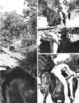 ENCOUNTER Vol 3 Nr 2 1982  Gays Photos