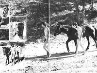ENCOUNTER Vol 3 Nr 2 1982  Gays Photos