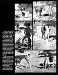 ENCOUNTER Vol 3 Nr 2 1982  Gays Photos