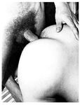 END OVER END  Gays Photos