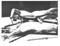 EROTIC EXTREME  Gays Photos