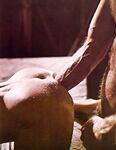 EROTIC HANDS  Gays Photos