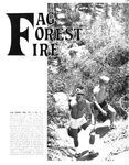 FAG FOREST FIRE Vol 1 Nr 1 1984  Gays Photos