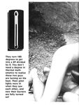FAG FOREST FIRE Vol 1 Nr 1 1984  Gays Photos