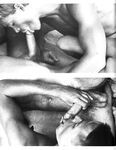 FAG FOREST FIRE Vol 1 Nr 1 1984  Gays Photos