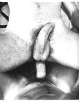 FAG FOREST FIRE Vol 1 Nr 1 1984  Gays Photos