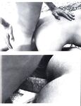 FAG FOREST FIRE Vol 1 Nr 1 1984  Gays Photos