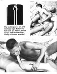 FAG FOREST FIRE Vol 1 Nr 1 1984  Gays Photos