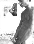 FAG FOREST FIRE Vol 1 Nr 1 1984  Gays Photos