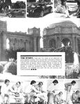 FALCON FILE, THE Nr 10 1982  Gays Photos