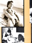 FALCON FILE, THE Nr 7 1979  Gays Photos