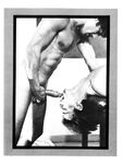 FALCON FILE, THE Nr 7 1979  Gays Photos