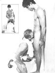 FALCON FILE, THE Nr 8 1980  Gays Photos