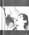 FALCON FILE, THE Nr 8 1980  Gays Photos