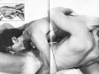 FALCON FILE, THE Nr 8 1980  Gays Photos