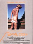FALCON FILE, THE Nr 8 1980  Gays Photos