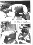 GAY AFFAIR Vol 1 Nr 1 1984  Gays Photos