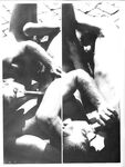 GAY AFFAIR Vol 1 Nr 1 1984  Gays Photos