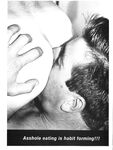 GAY AFFAIR Vol 1 Nr 1 1984  Gays Photos