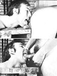 GAY MARRIAGE GUIDE Vol 1  Gays Photos