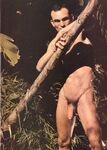 GAY PORN STARS ANNUAL Vol 1 Nr 4 1991  Gays Photos
