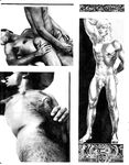 GAY SUCKERS  Gays Photos