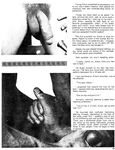 GAY SUCKERS  Gays Photos