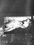 GEMINI Nr 1 1982  Gays Photos
