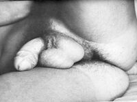 GRAFFITI  Gays Photos