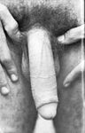 GRAFFITI  Gays Photos