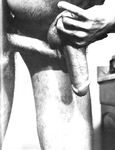 GRAPPLE! 1982  Gays Photos