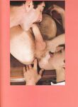 11 INCH TUBESTEAK  Gays Photos