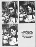 3 IN THE GARAGE  Gays Photos