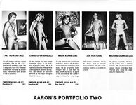 AARON'S PORTFOLIO1.11  Gays Photos