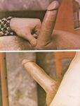 ACCENT  Gays Photos