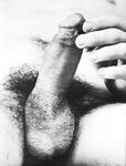 ACCENT  Gays Photos
