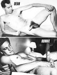 ACCENT  Gays Photos