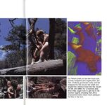 AH MEN 4  Gays Photos