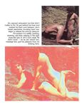 AH MEN 4  Gays Photos