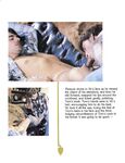 AH MEN2  Gays Photos