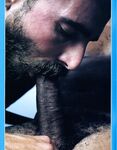 AL PARKER MEETS SUPERSHAFT  Gays Photos
