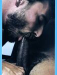 AL PARKER MEETS SUPERSHAFT  Gays Photos