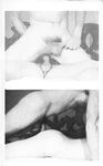 ALBUM 1504  Gays Photos